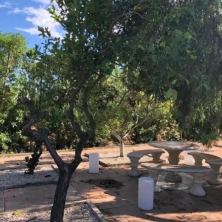 La Armonia Apartmán *